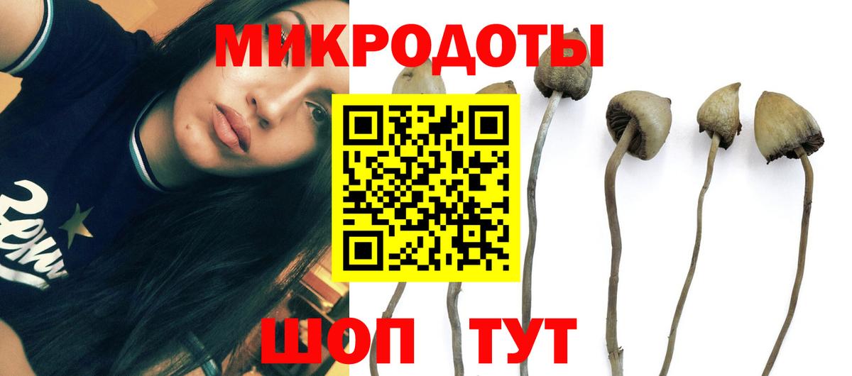 Алапаевск  Галлюциногенные грибы Psilocybe  Вход с VPN 